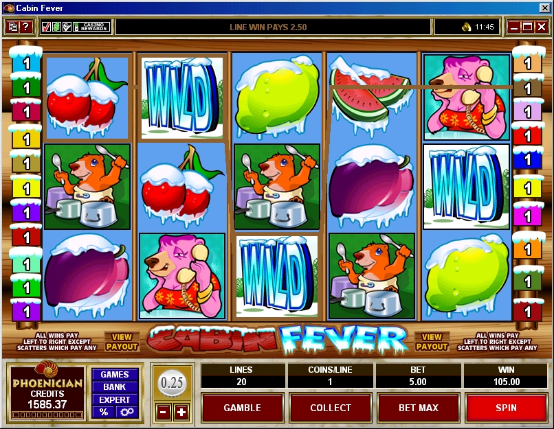 Cabin Fever Bonus Slot